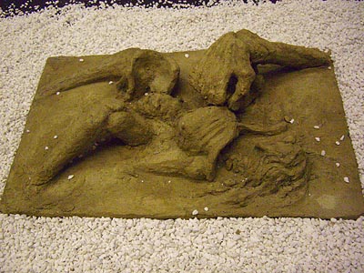 zur&uuml;ck